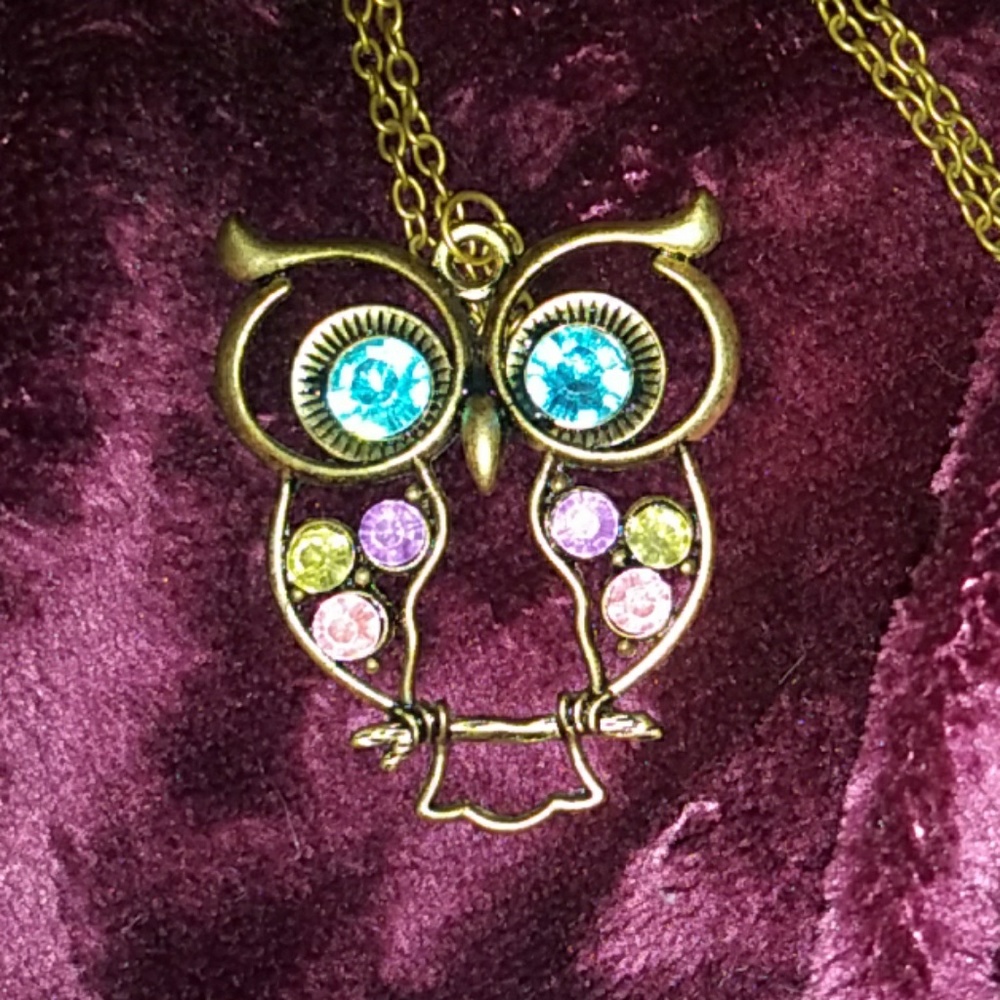 🦉owl sweater necklace w/jewels🦉